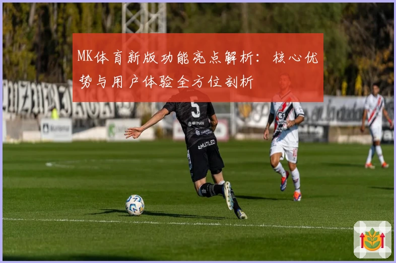 MK体育新版功能亮点解析：核心优势与用户体验全方位剖析